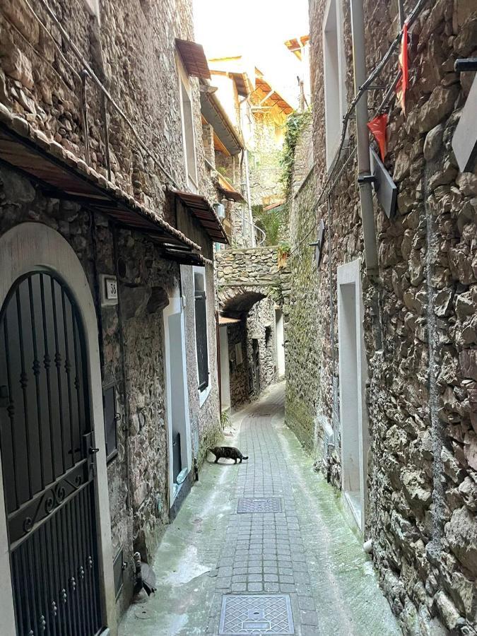 Casa Venezia In Airole, Liguria, Italy Villa Exteriör bild